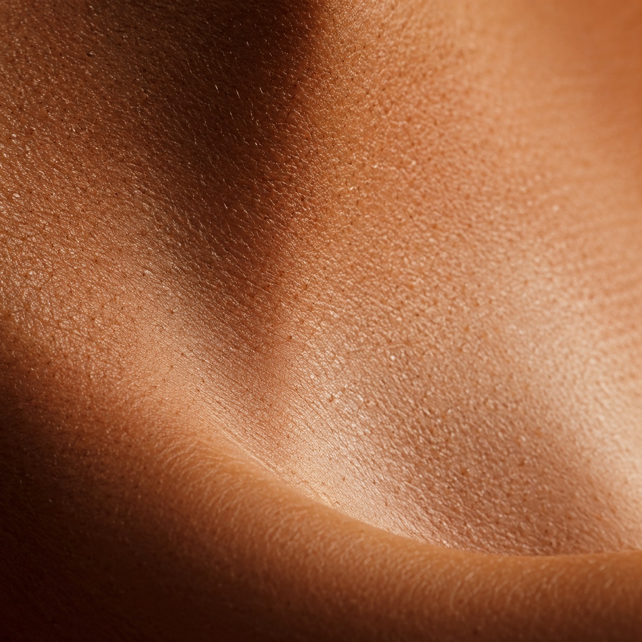 Textura